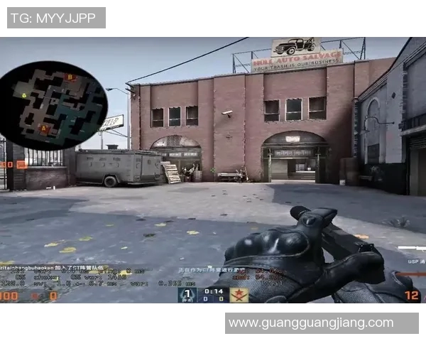 运动数据李秀英专访从新手到高手的CSGO成长之路与心路历程分享